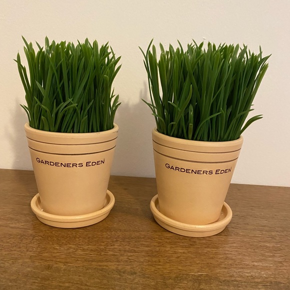 Decor set of 2 Artificial Potted Plants Artificial Grass in Modern - Picture 1 of 1